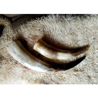 Horn