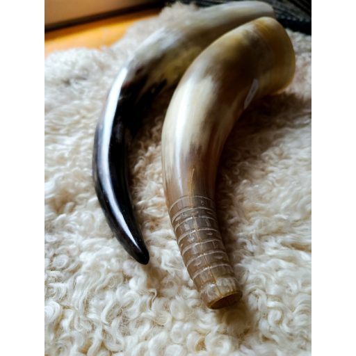 Horn