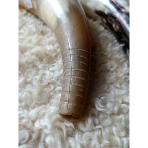 Horn