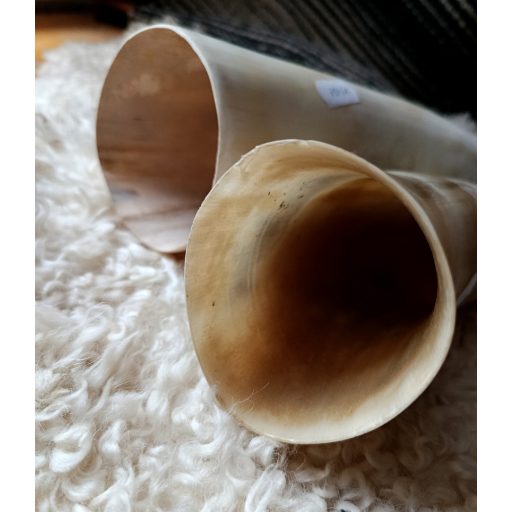 Horn
