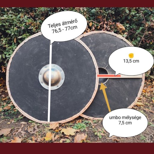 Viking shield