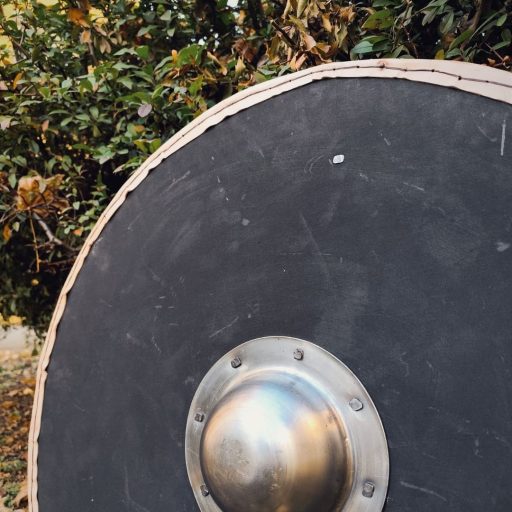 Viking shield