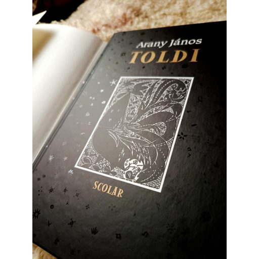 Toldi (különleges kiadás)