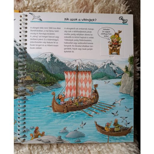 A vikingek (ismeretterjesztő képeskönyv gyerekeknek)