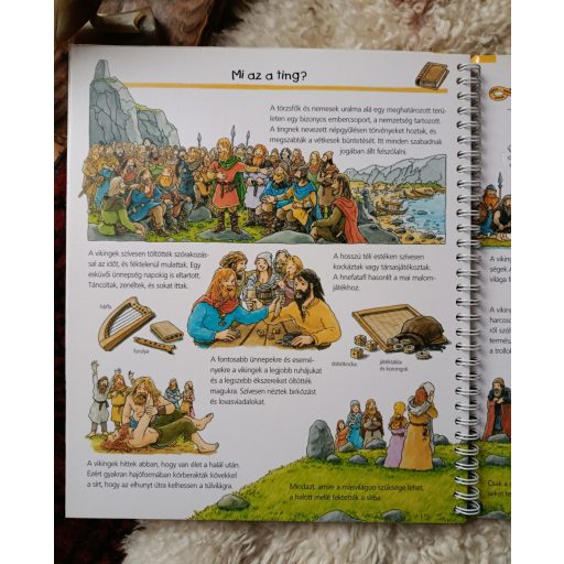A vikingek (ismeretterjesztő képeskönyv gyerekeknek)